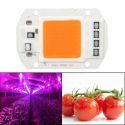 Chip LED Cob Cultivos/Plantas 50W a 230V