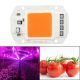 Chip LED Cob Cultivos/Plantas 50W a 230V