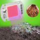 Chip LED Cob Cultivos/Plantas 50W a 230V