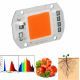 Chip LED Cob Cultivos/Plantas 50W a 230V