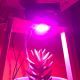 Chip LED Cob Cultivos/Plantas 50W a 230V