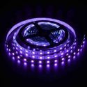 Tira LED 5050 ultravioleta 14,4 W/m 12V IP20 5 metros