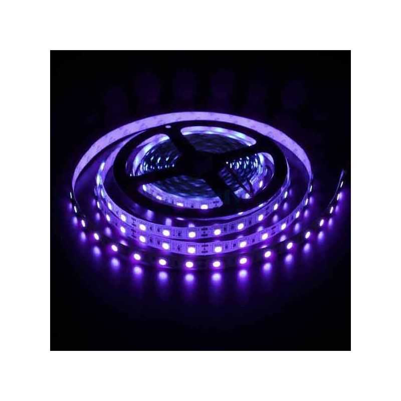 Tira LED 5050 ultravioleta 14,4 W/m 12V IP20 5 metros
