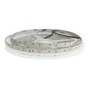Tira LED 2835 18W/m 24V IP20 20 metros