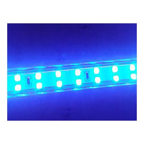 Tira LED SMD 2835 13 W/m AZUL 230V IP67 5 metros