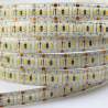 Conjunto Tira LED SMD 3014 24W/m 12V IP67 5 metros