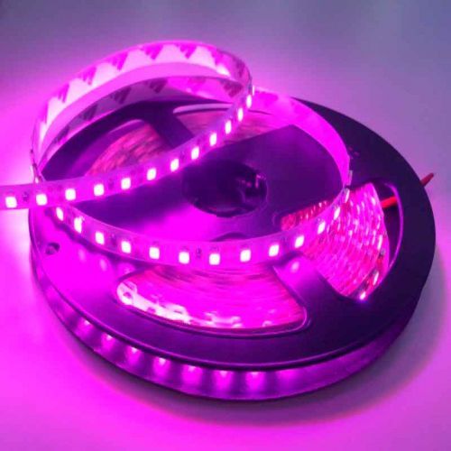 Tira LED Rosa-Violeta 14,4 W/m 12V IP20 5 metros