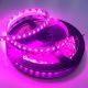 Tira LED Rosa-Violeta 14,4 W/m 12V IP20 5 metros